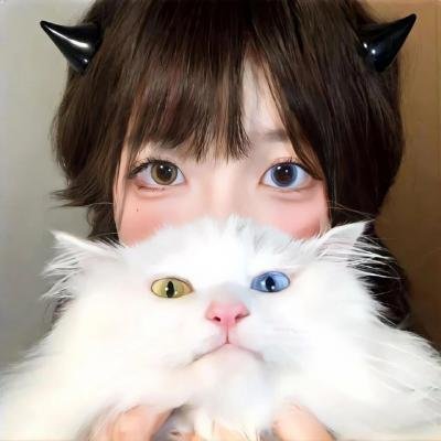 诈欺猎人免费在线观看